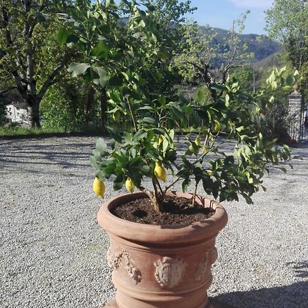 Casina Di Vicchio Apartment Dicomano Luaran gambar