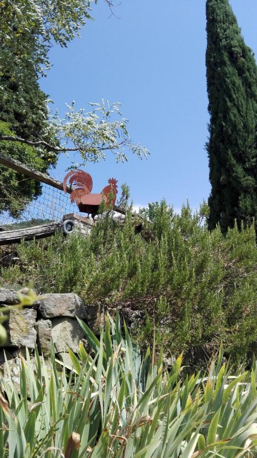 Casina Di Vicchio Apartment Dicomano Luaran gambar