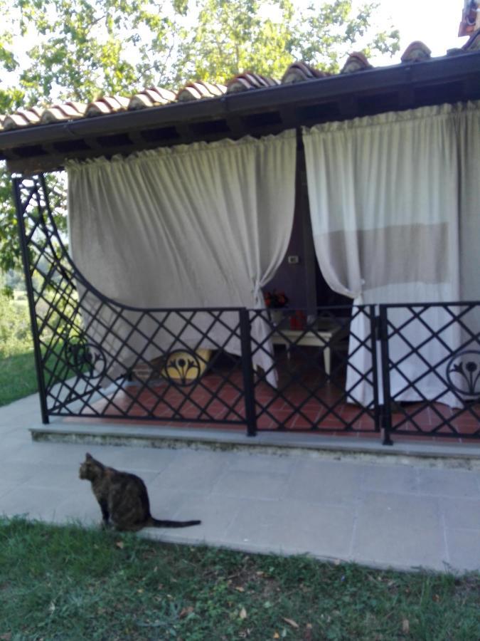 Casina Di Vicchio Apartment Dicomano Luaran gambar