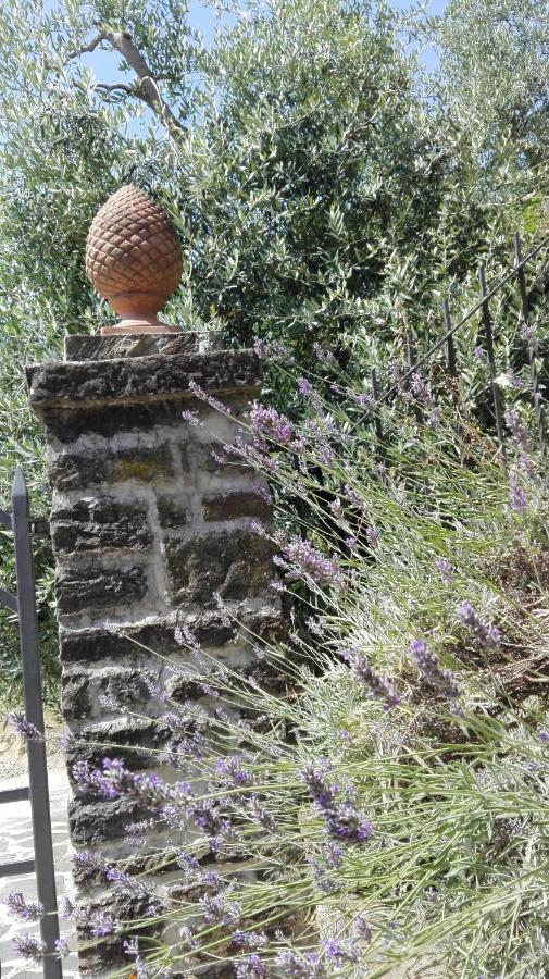 Casina Di Vicchio Apartment Dicomano Luaran gambar