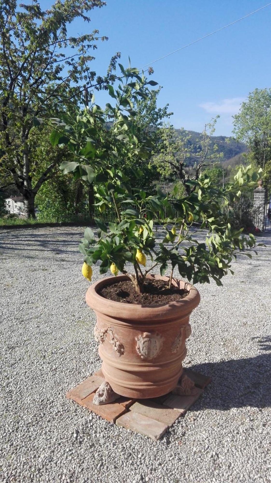 Casina Di Vicchio Apartment Dicomano Luaran gambar