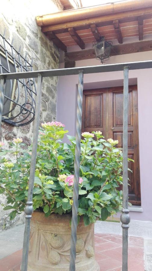 Casina Di Vicchio Apartment Dicomano Luaran gambar
