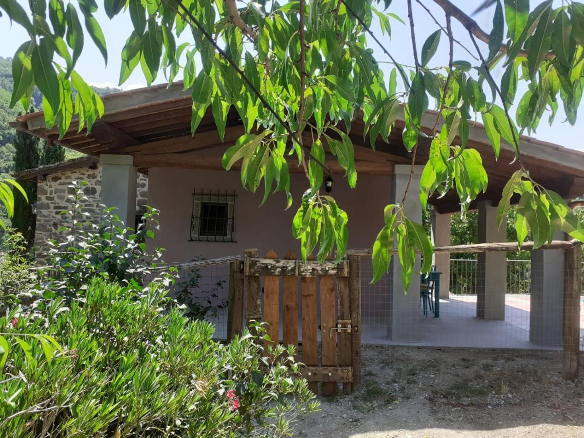 Casina Di Vicchio Apartment Dicomano Luaran gambar