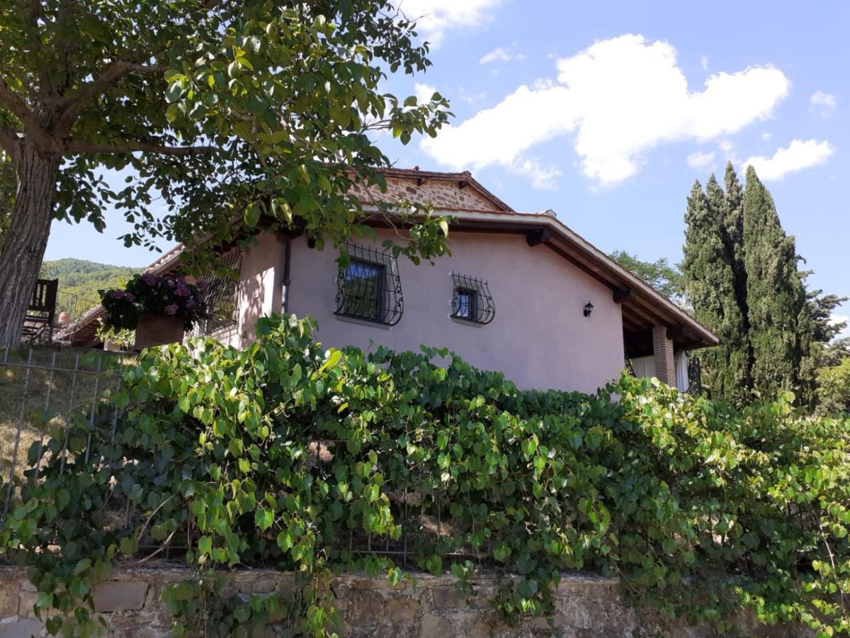 Casina Di Vicchio Apartment Dicomano Luaran gambar