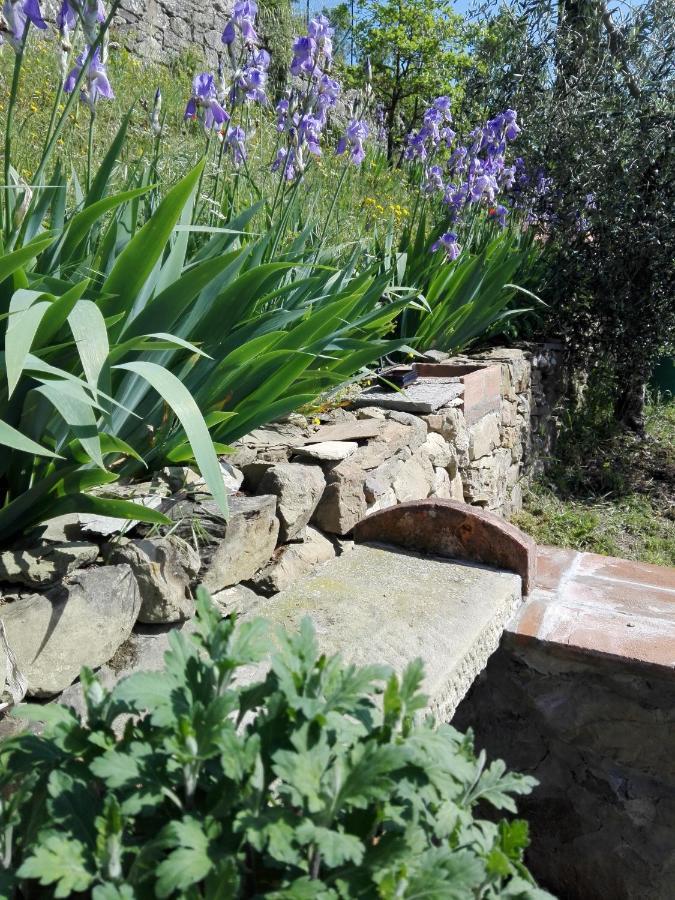 Casina Di Vicchio Apartment Dicomano Luaran gambar