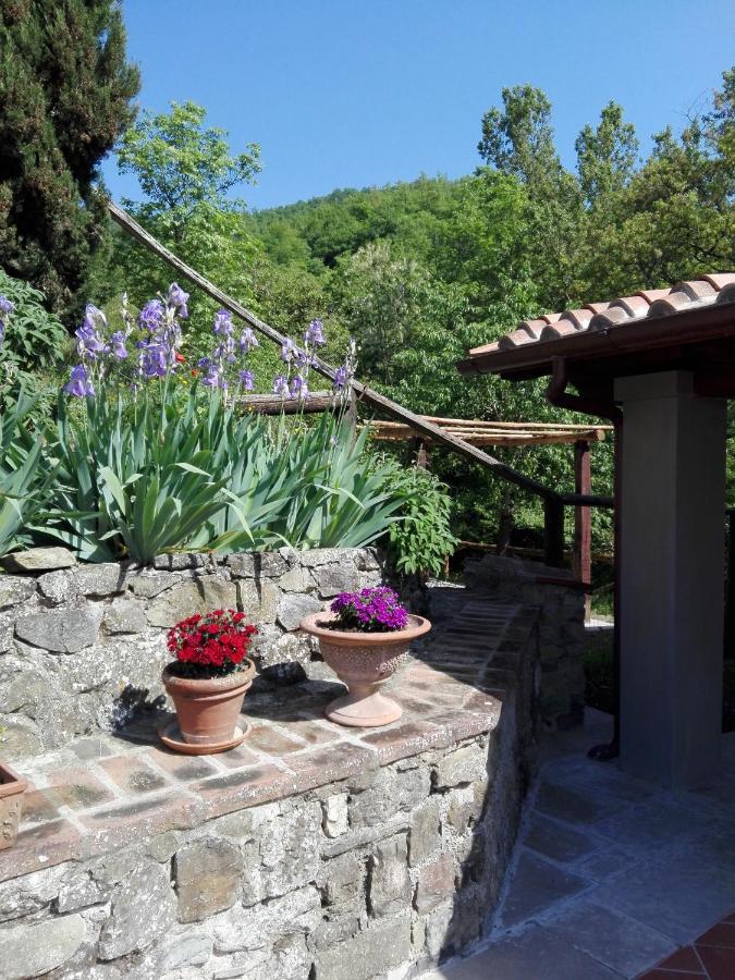 Casina Di Vicchio Apartment Dicomano Luaran gambar