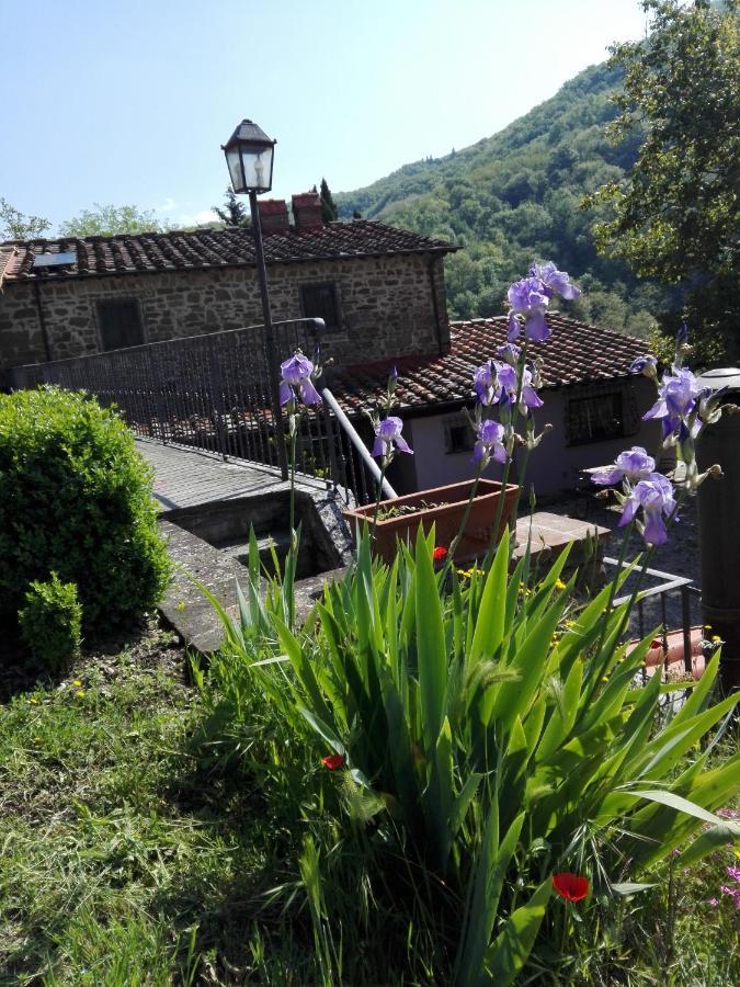 Casina Di Vicchio Apartment Dicomano Luaran gambar